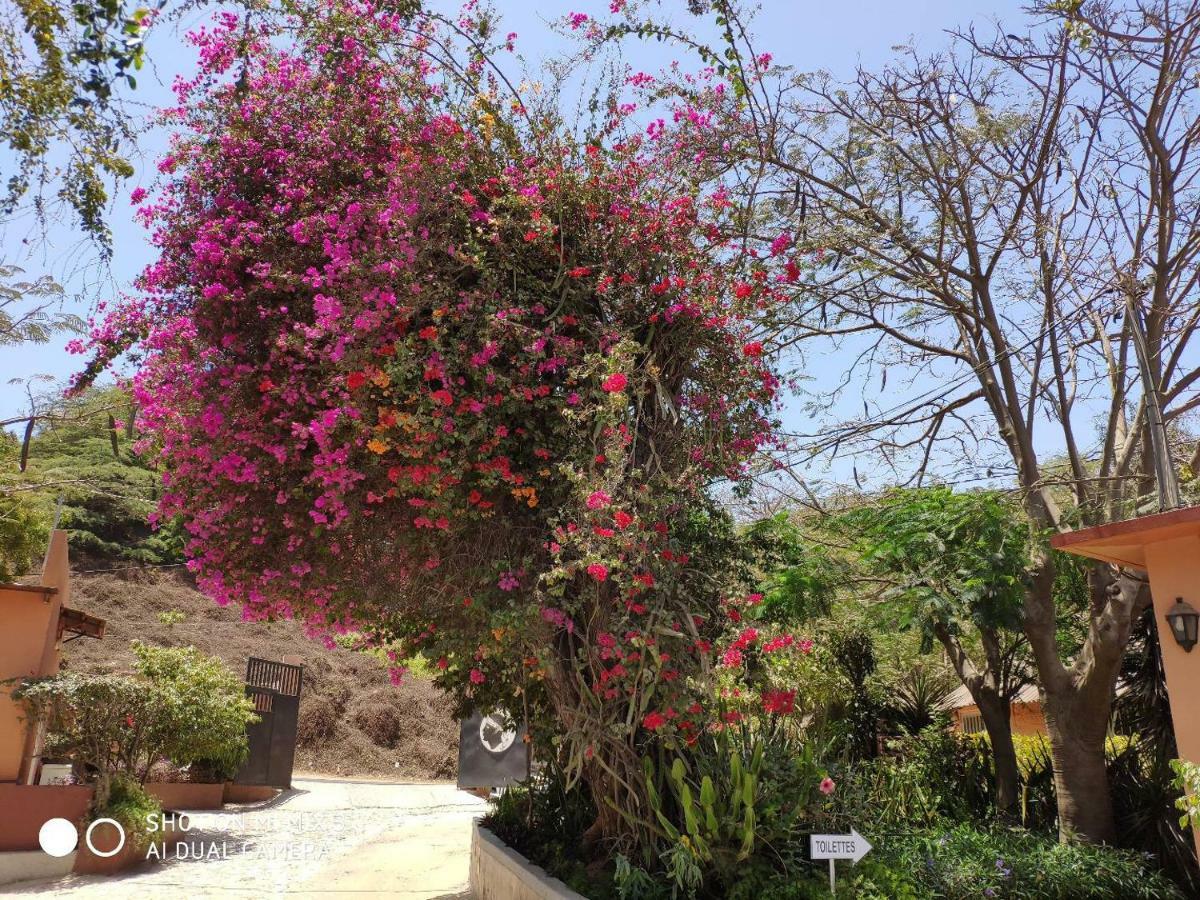 Hotel Union Amicale Corse Dakar Exterior foto